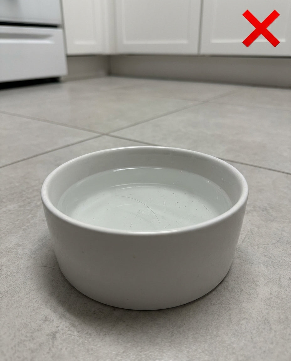 PureFlow Wireless Fountain