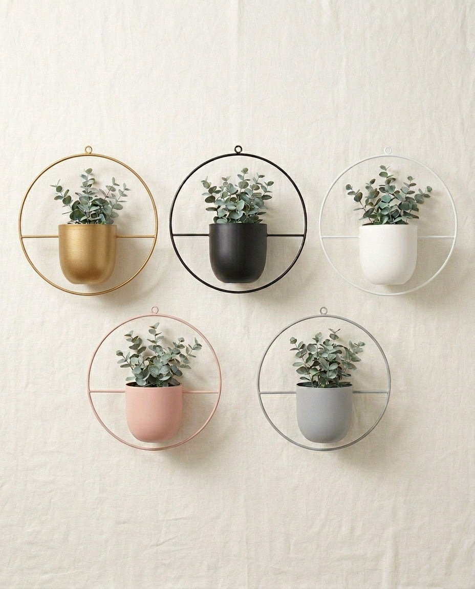 Hanging Plant Holder Indoor & Outdoor | Gold Ring Planter
