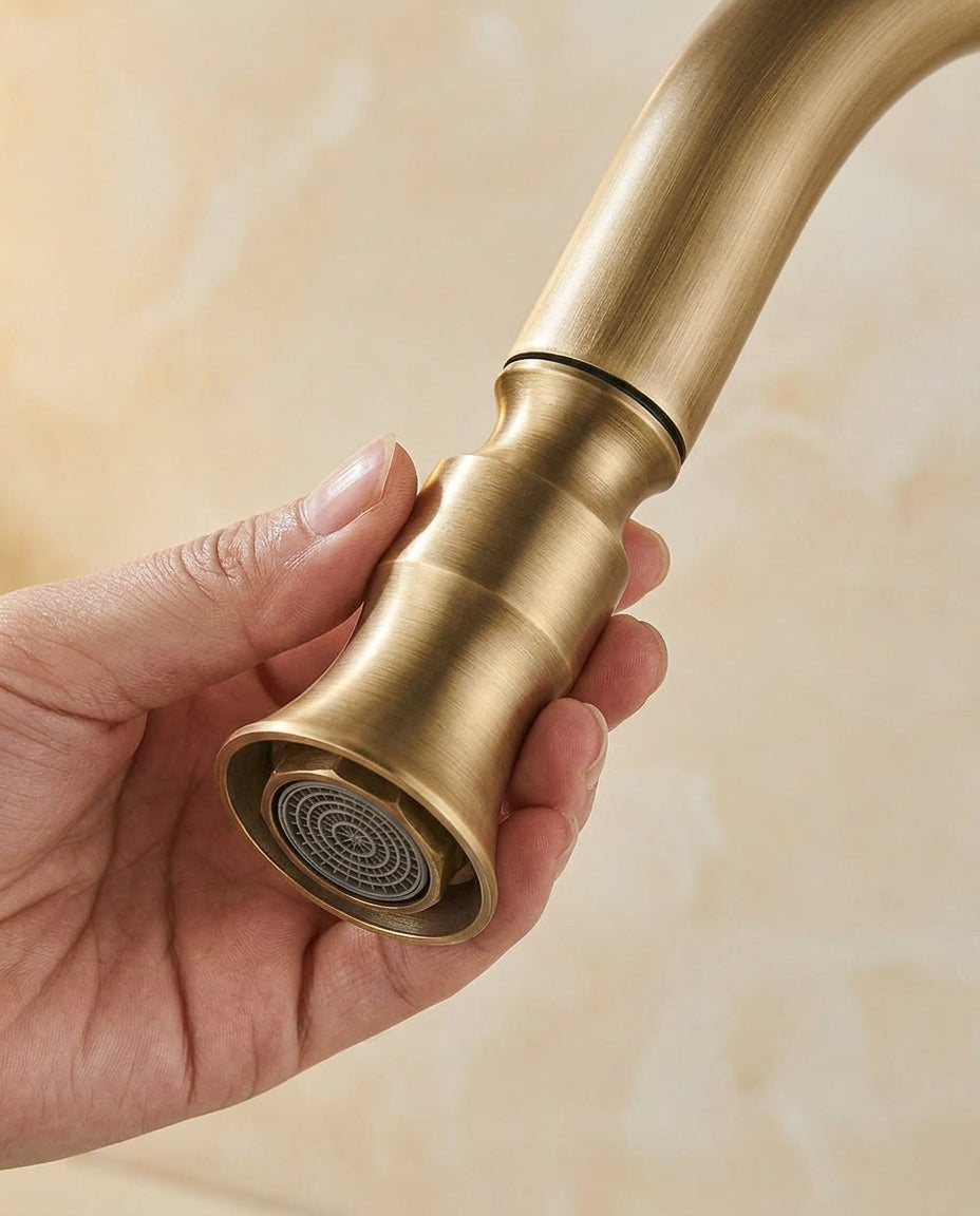 Antique Brass & Matte Black Kitchen Tap | Swivel Spout