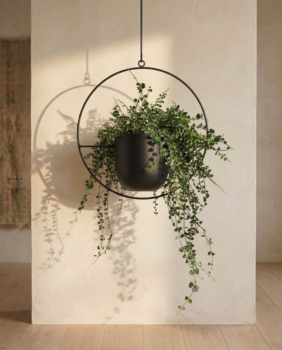 Hanging Plant Holder Indoor & Outdoor | Gold Ring Planter