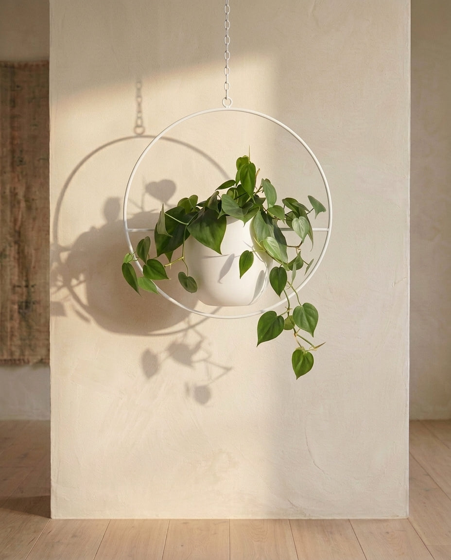 Hanging Plant Holder Indoor & Outdoor | Gold Ring Planter